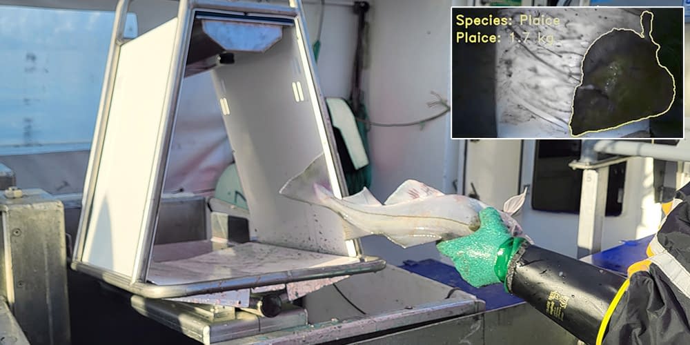 DAT Systems - Fish Catch Registration