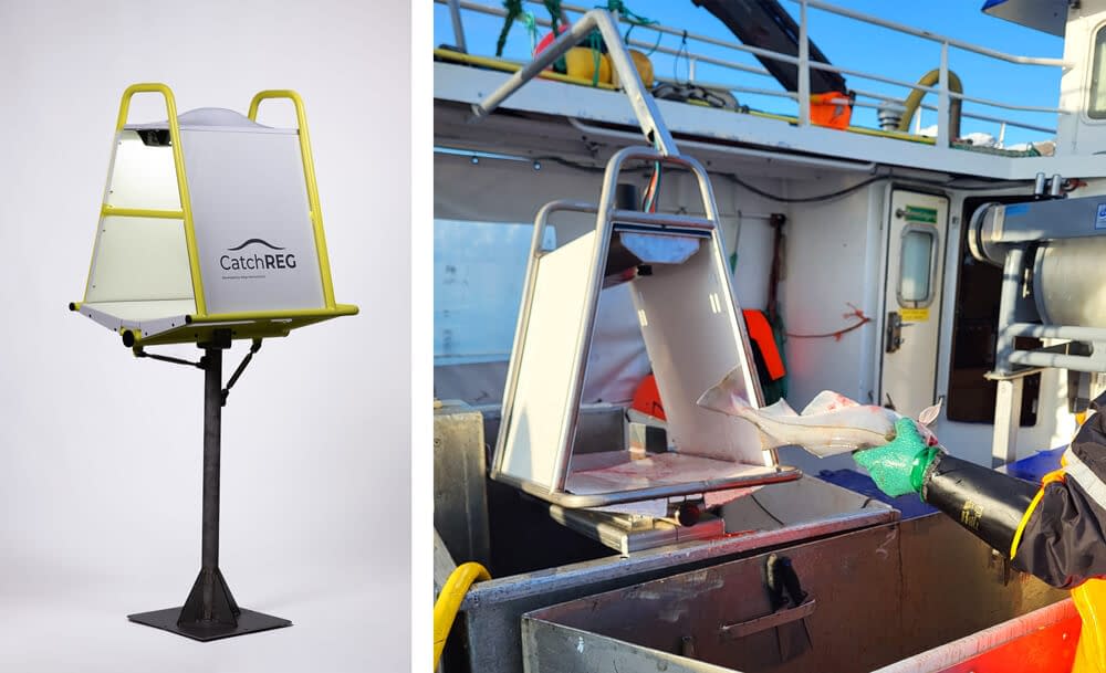 CatchREG-example CatchREG