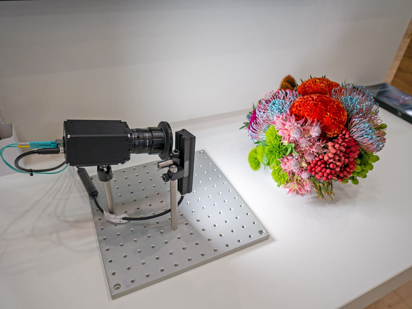 Atlas25 25GigE Camera