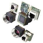 Transformable phoenix