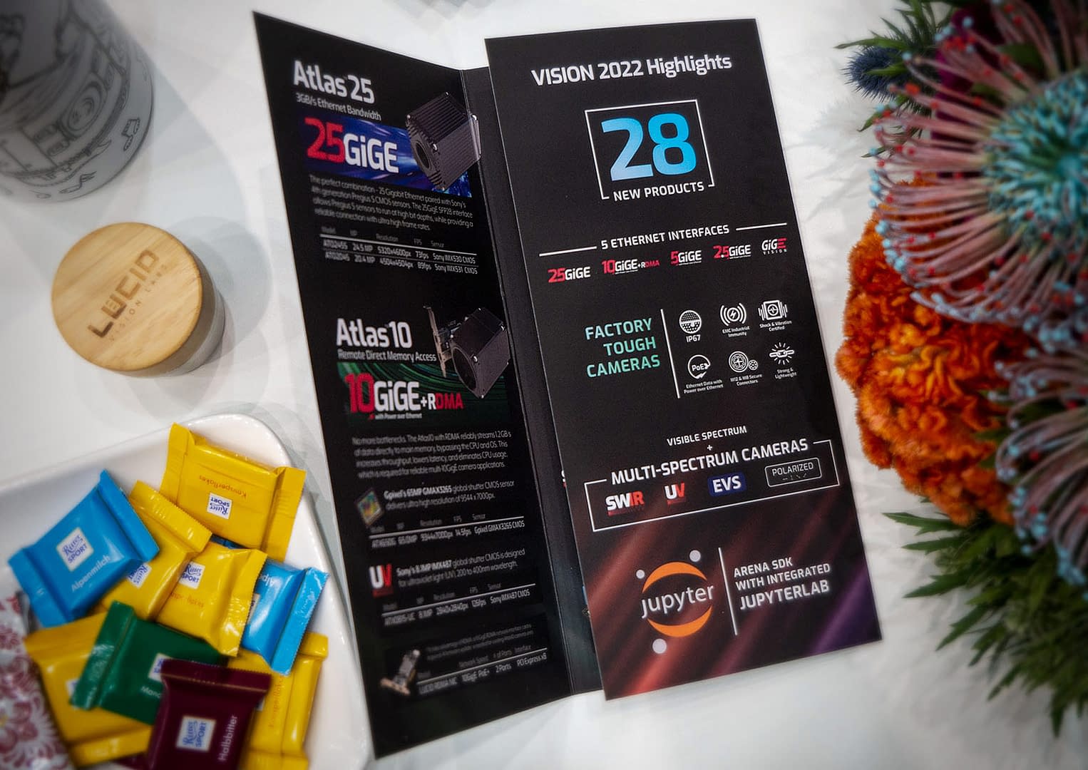 LUCID VISION Handout opening