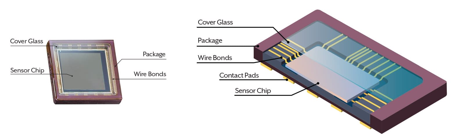 Image Sensor Cutout