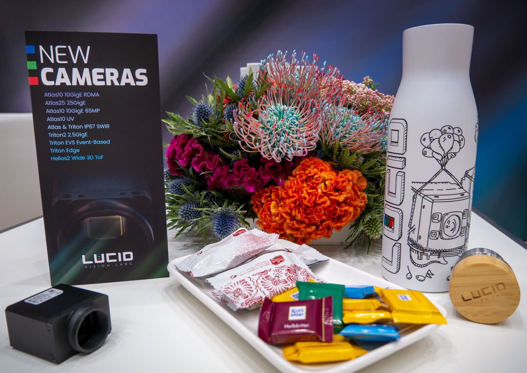 LUCID VISION Handout
