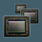 Sony pregius sensor