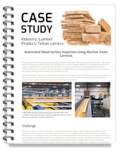 Case Study: Wood Surface Inspection with Machine Vision