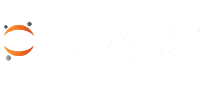 jupyter notebook logo