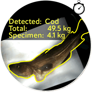 Food Inspection and automation challenge 2