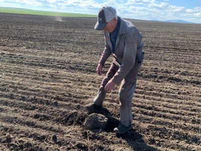 automated-solution-for-picking-rock-agriculture-terraclear