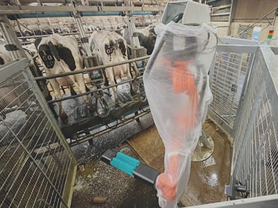 Automating Dairy Farm Hygiene with 3D Vision and Robotics