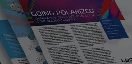 Polarization White Paper