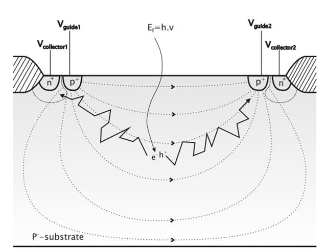 CAPD Cross Diagram