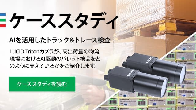 ケーススタディ：AIビジョンシステムが荷積みドックでパレット積み貨物を検品