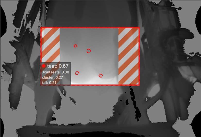 3D Point Cloud Cow Udders