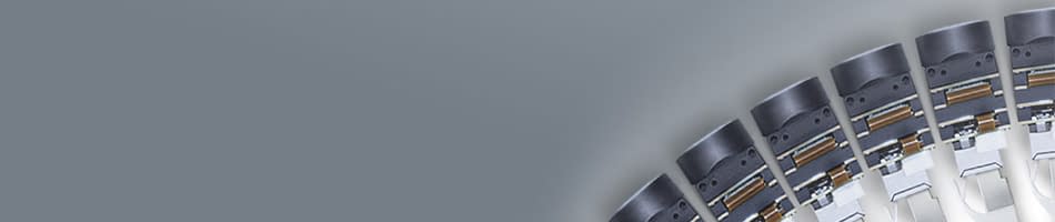 Phoenix Machine Vision Camera