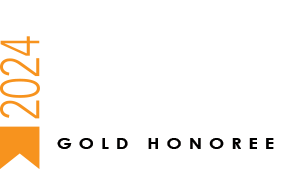 VSD Gold Award