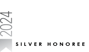 vsd silver award