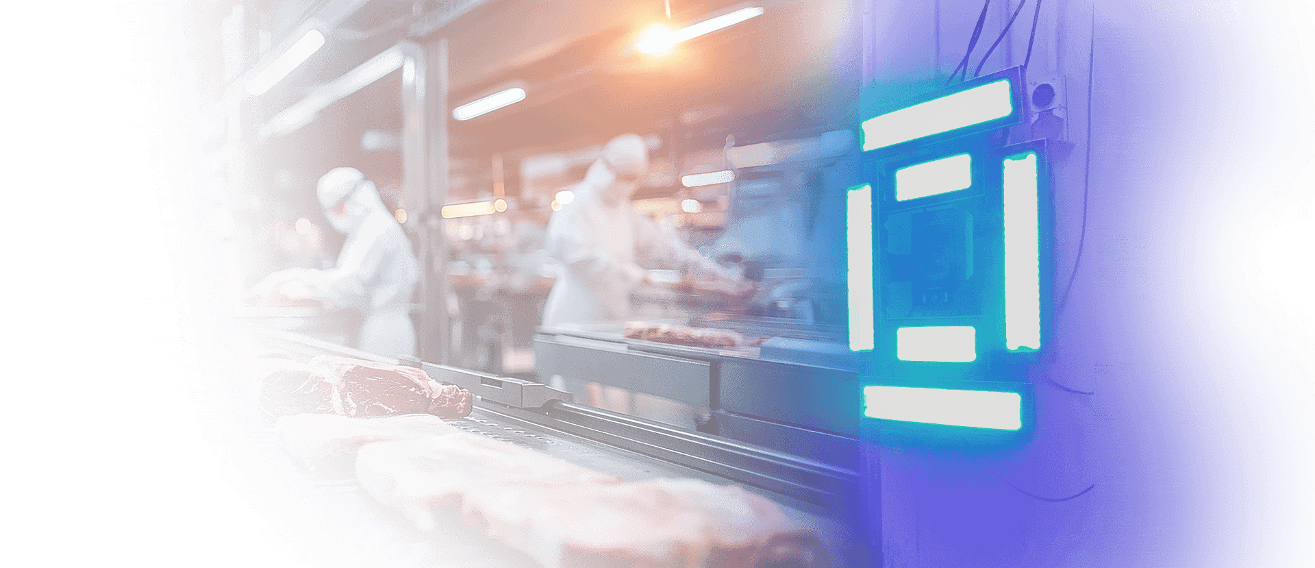 Food Safety with Automated 3D Detection