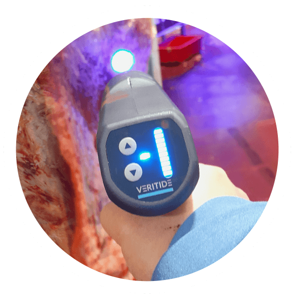 Automated Meat Inspection with Veritide BluMax