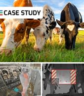 Case Study: Automated Dairy Farm Hygiene with 3D Vision and Robotics