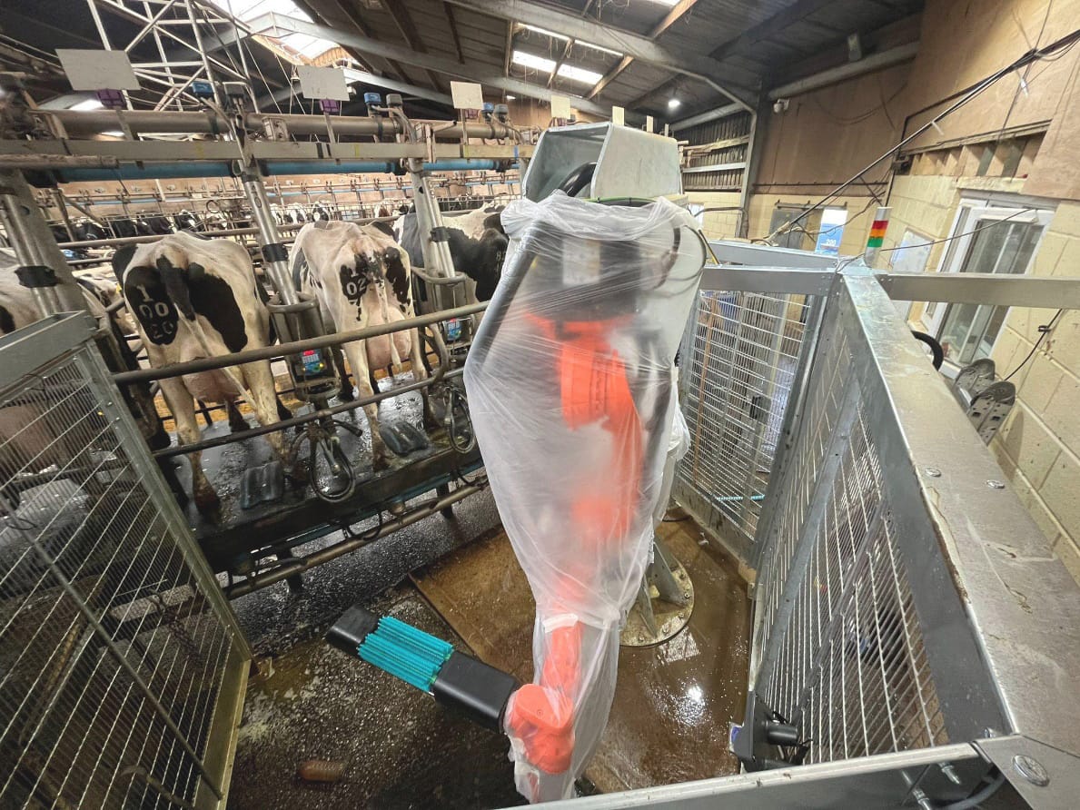utomatically cleaning each cow before milking