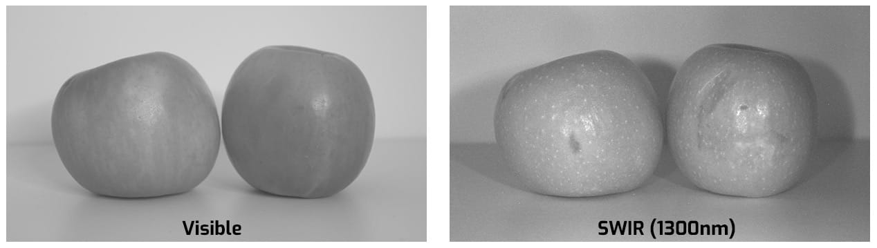 Fruit SWIR Camera inspection