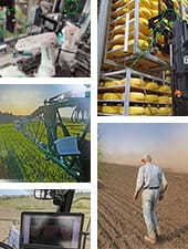 Machine Vision for End-to-End Food Inspection and Automation