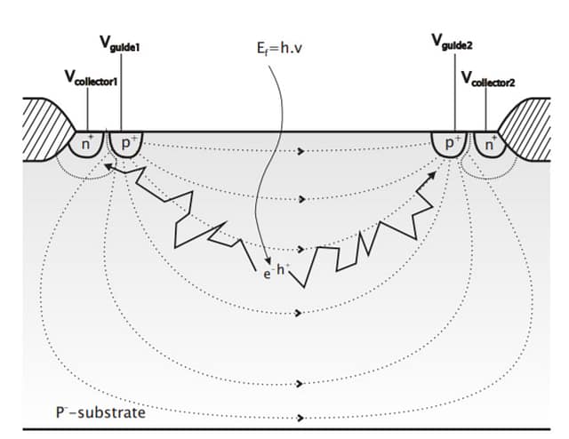 CAPD-Cross-Diagram CAPD Cross Diagram